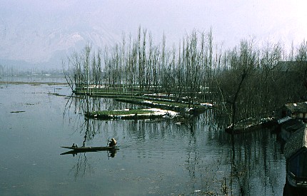 Cachemire, Lac Dal