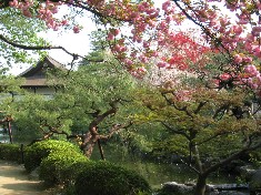 Jardin de Kyoto, Japon