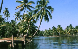 Les backwaters, État du Kerala, sud de l'inde